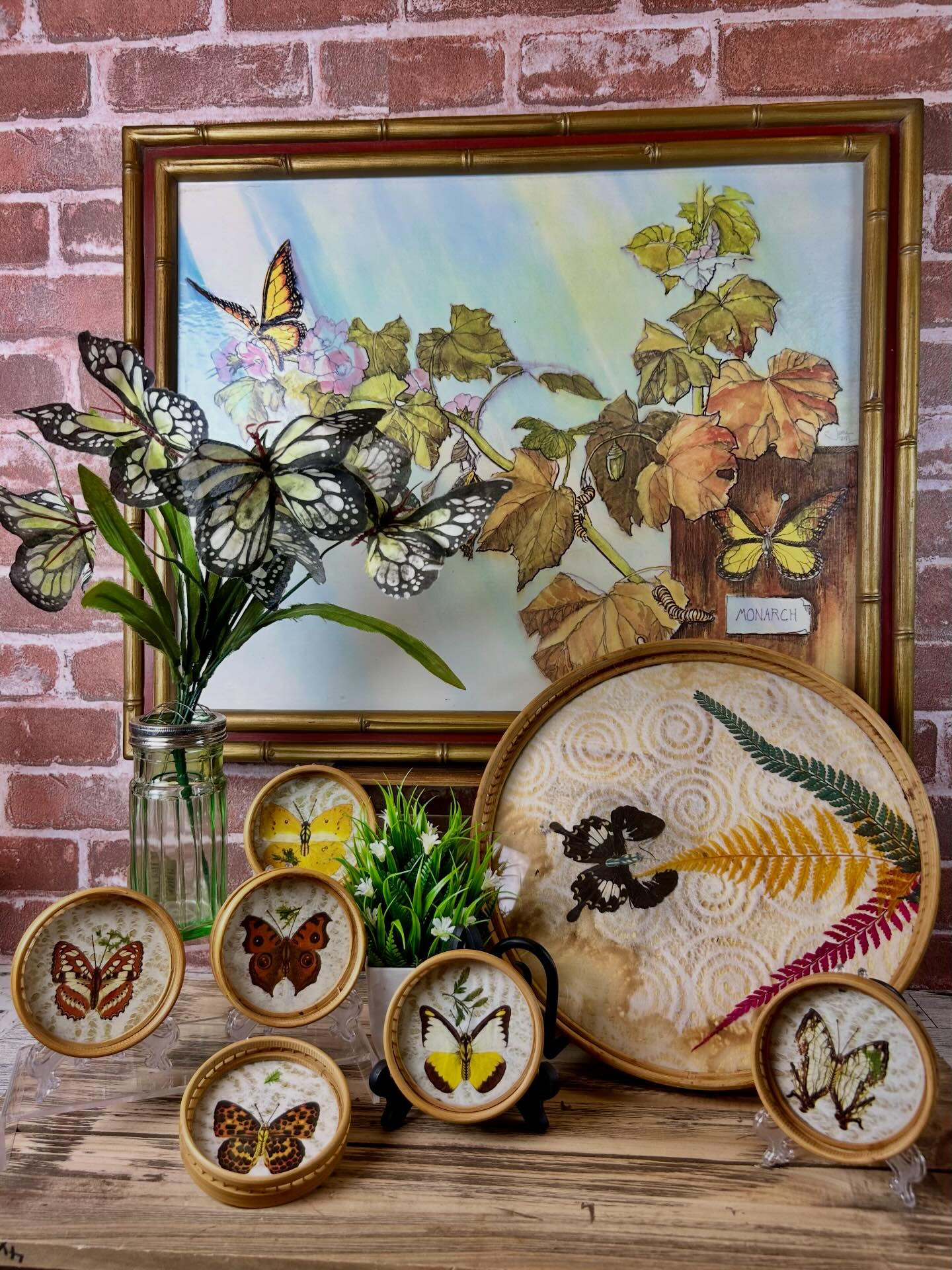 Serving up Summer vibes with Butterflies! 1970 display picture 1