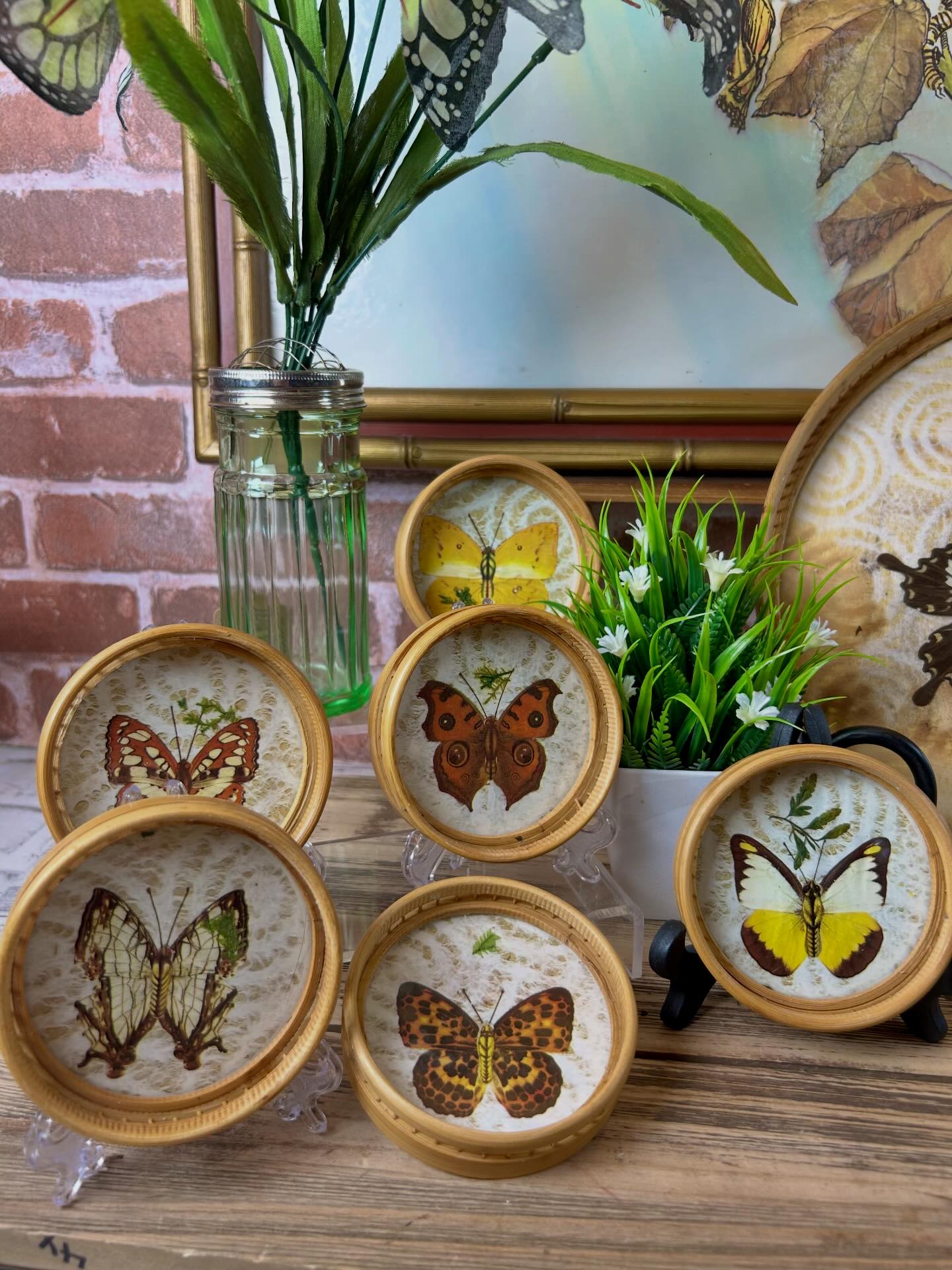 Serving up Summer vibes with Butterflies! 1970 display picture 1