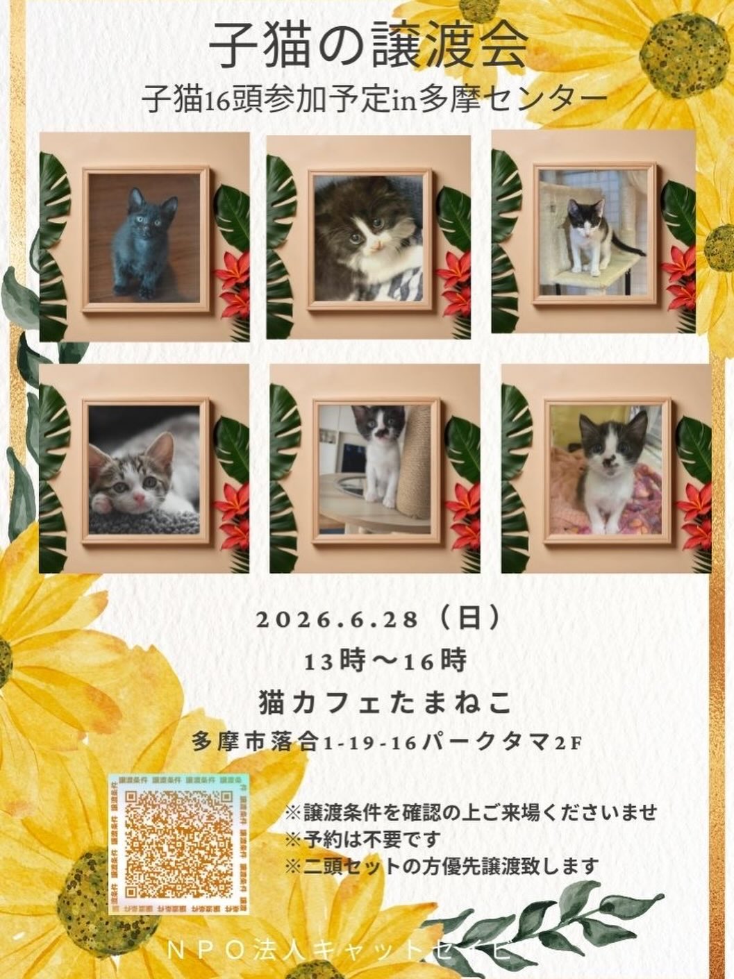 たまねこ | Tama-shi Tokyo