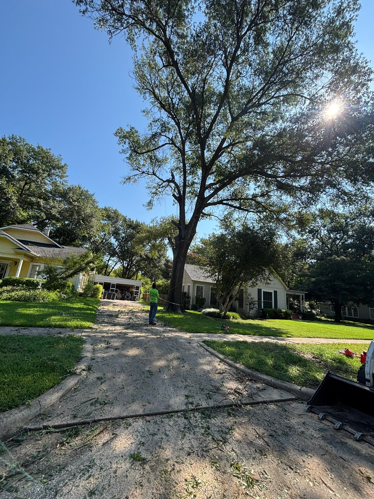 C & A Tree & Lawn Service LLC | Terrell TX