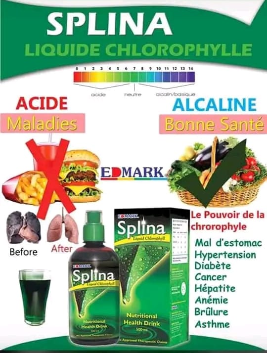LE SPLINA LIQUIDE CHLOROPHYLLE...... - Edmark Santé Bio