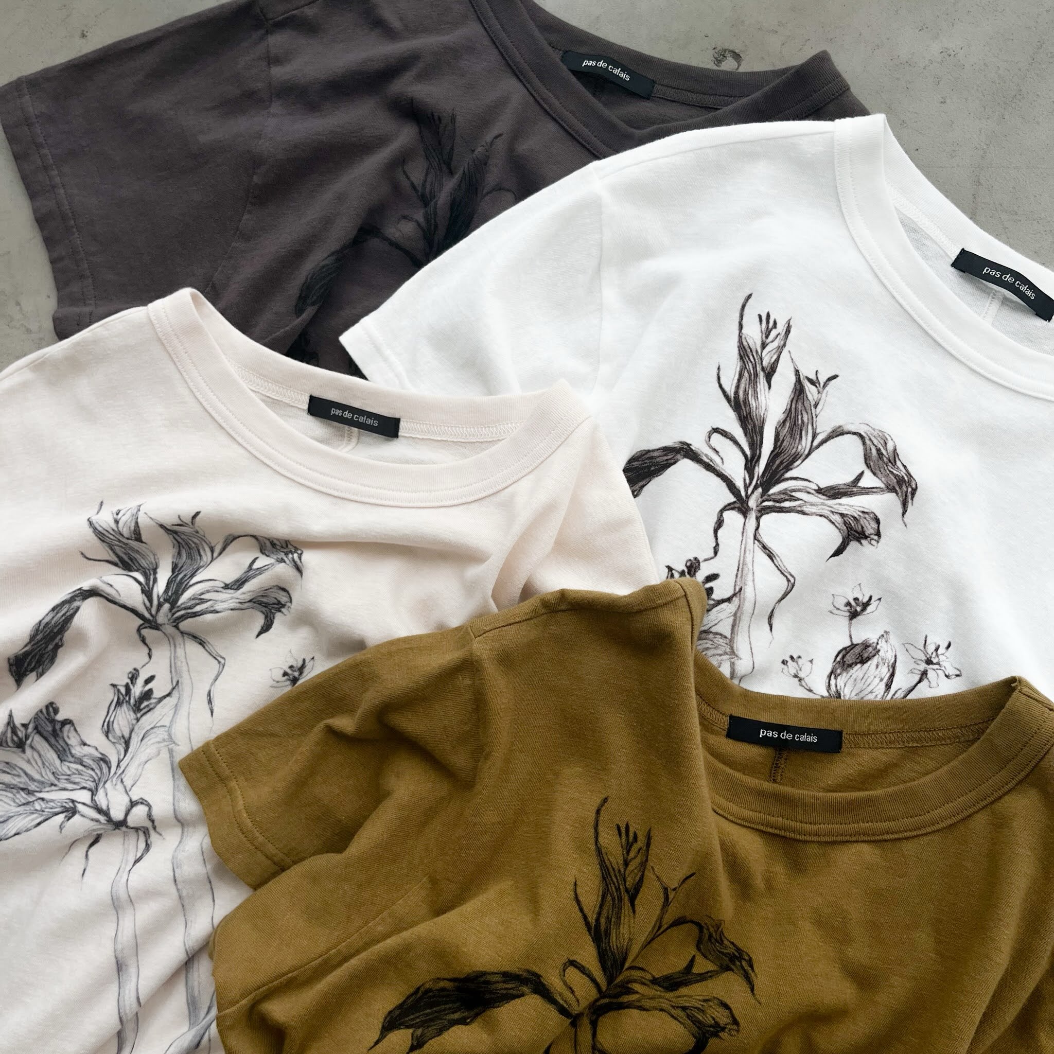 pas de calais SPRING / SUMMER 2026 ・ラフィ＆MVS天竺 前身プリント