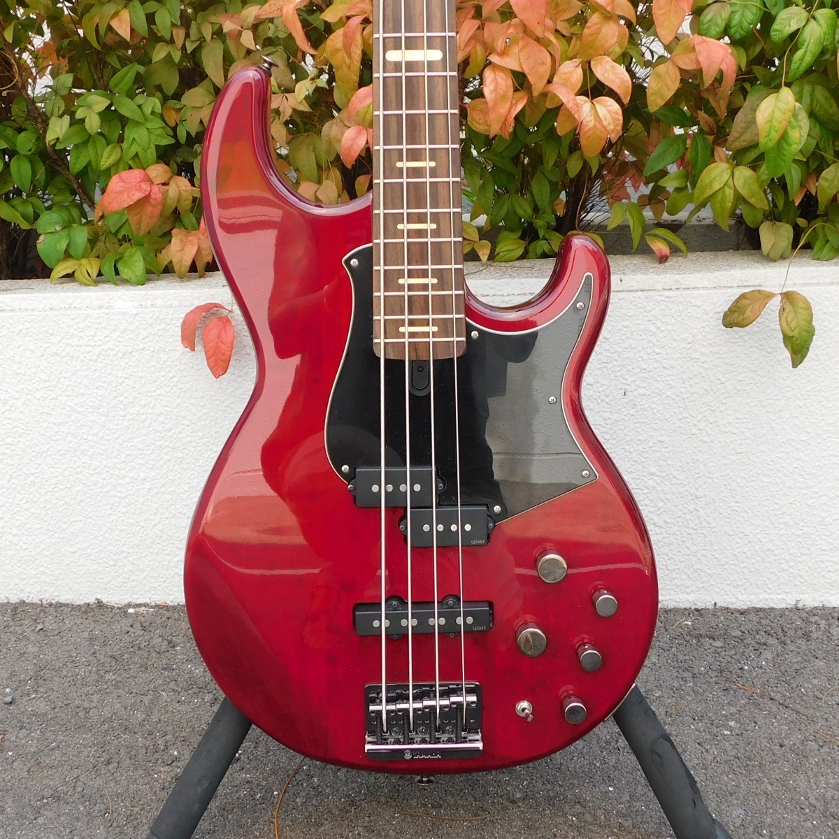 【希少】Tokai FSD-60 five star トーカイ 中古】 TOKAI トーカイ FSD-60？ 1980年～1990年前後 ランダムスター