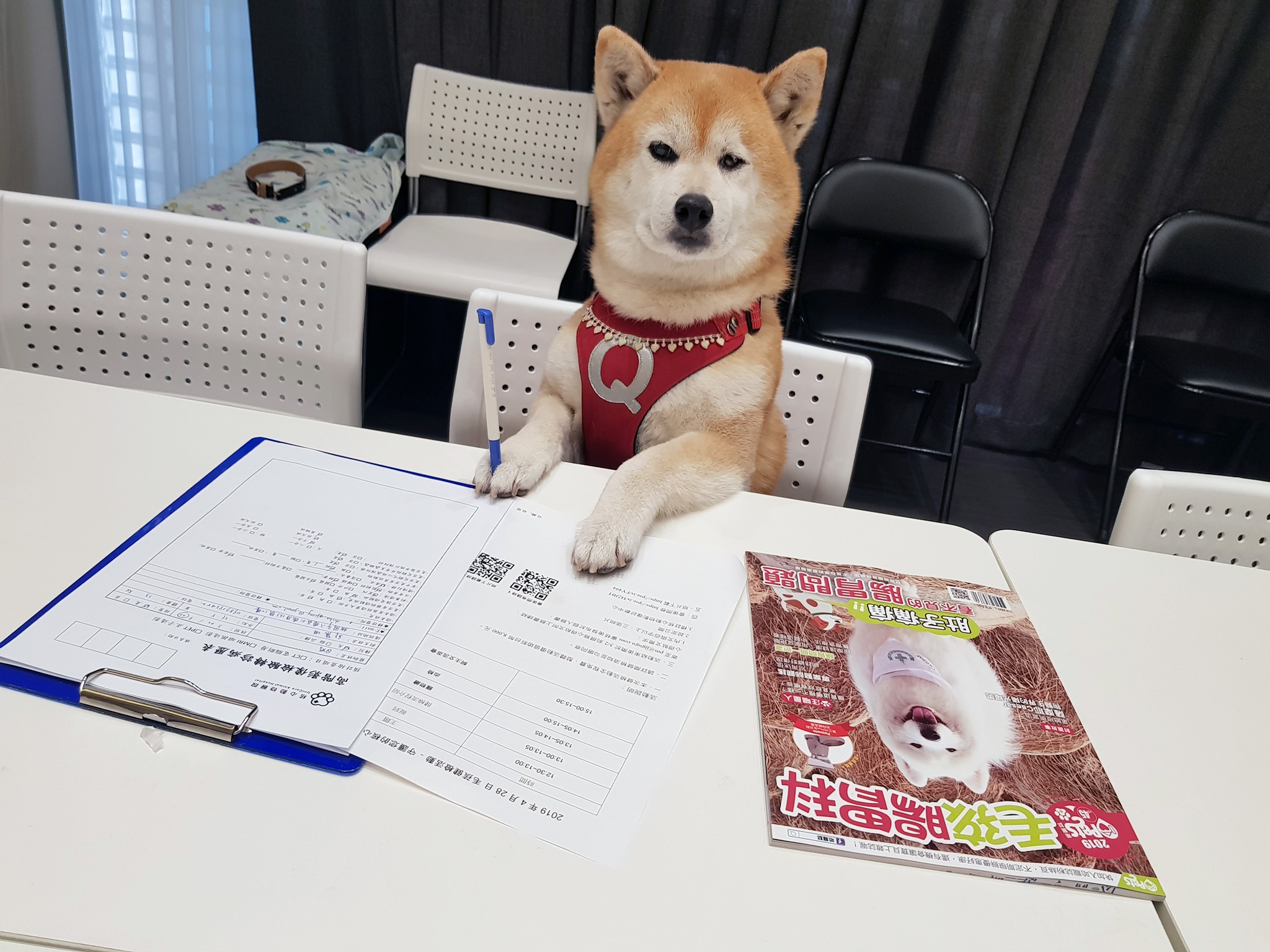 柴犬Q將 - 【Q將年度健檢報告】 進入診間…跟醫生花了不少時間”介紹”Q將的病歷：... | Facebook