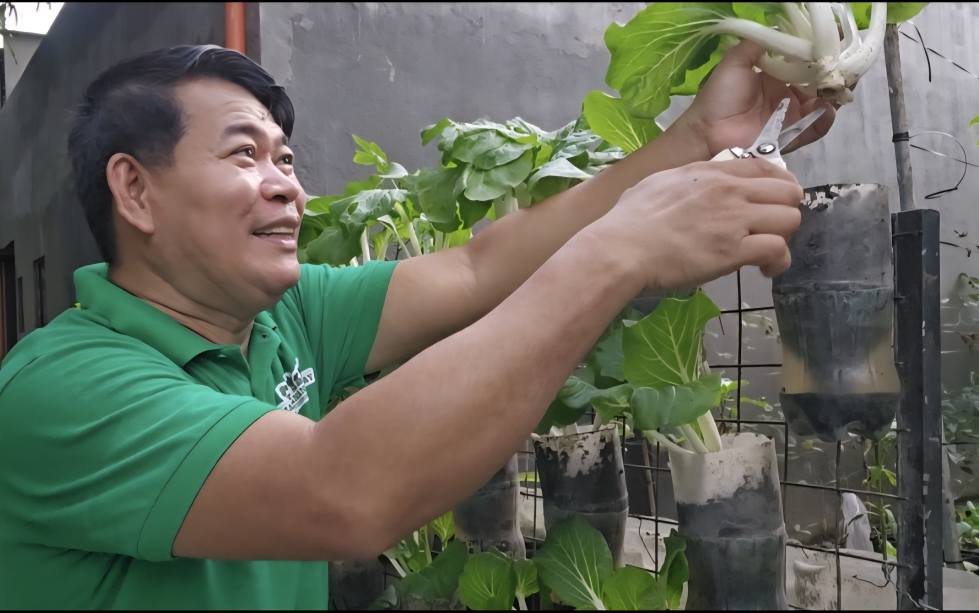 ANG SARAP MAG-HARVEST SA SARILING TANIM NA MATATABA AT MALULUSOG NA ...
