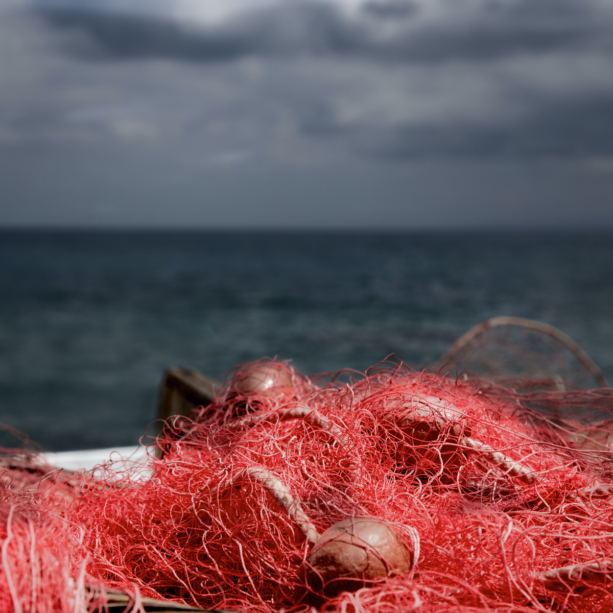 El Trasmallo es un arte de pesca... - OCP - Mariscos Gallego
