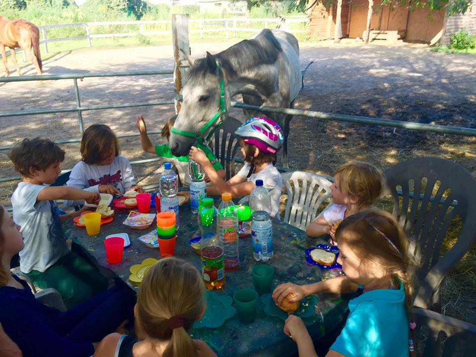 Sommerferien Ponyhofcamp 2016 Home Facebook