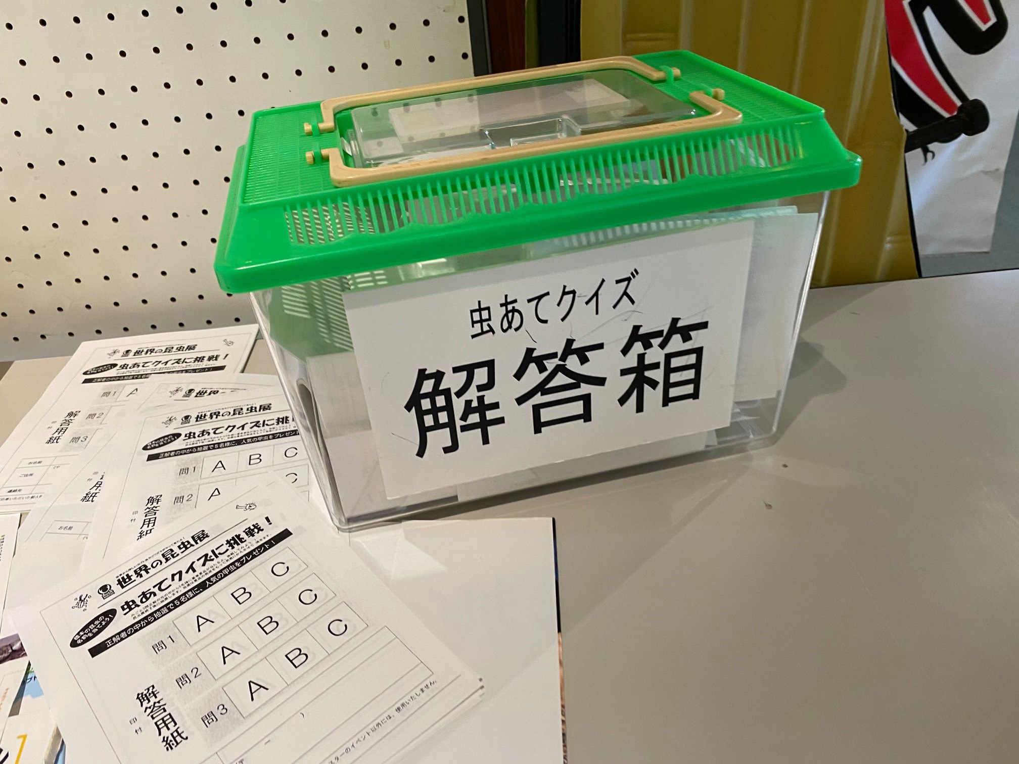 霧の森 霧の高原 解答箱はおしゃれに虫かごっ Facebook
