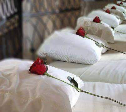 صباحكم ورد منثور فوق وسائدكم صـبـاحكم روايات كاتب شرقى فيسبوك