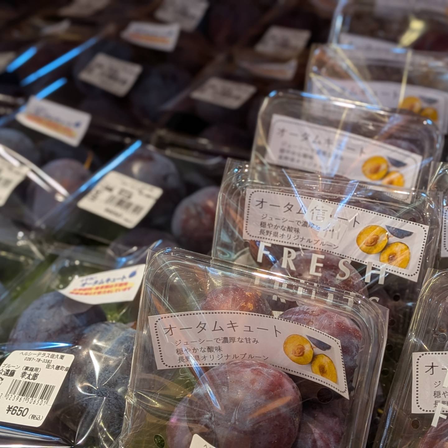 ✨ 📢【本日発売開始📢】 🚗🌿長野県内の「道の駅」を巡る旅がもっと