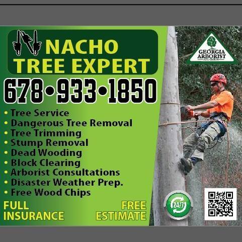 Nacho Tree Expert added a new photo. - Nacho Tree Expert