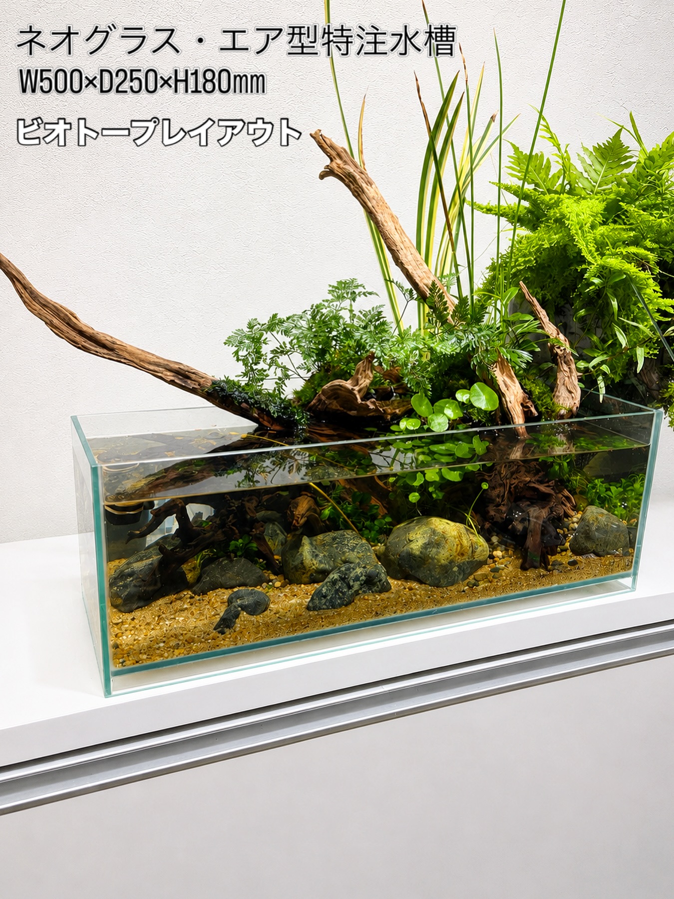 Aquarium - ADAよりパウチパックで新登場のBIOみずくさの森