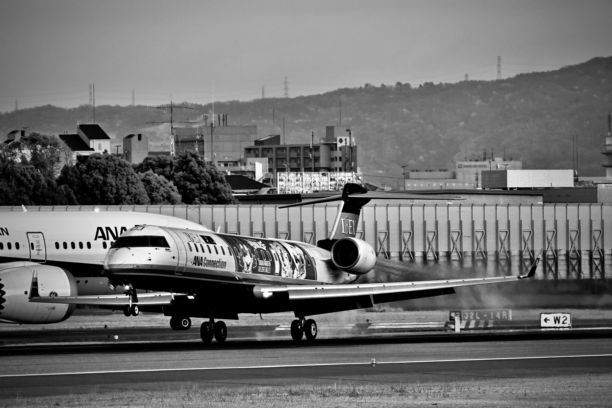 2024.8.16 OSAKA Itami Airport Japan Nikon Z6II NIKKOR Z 180-600 f5