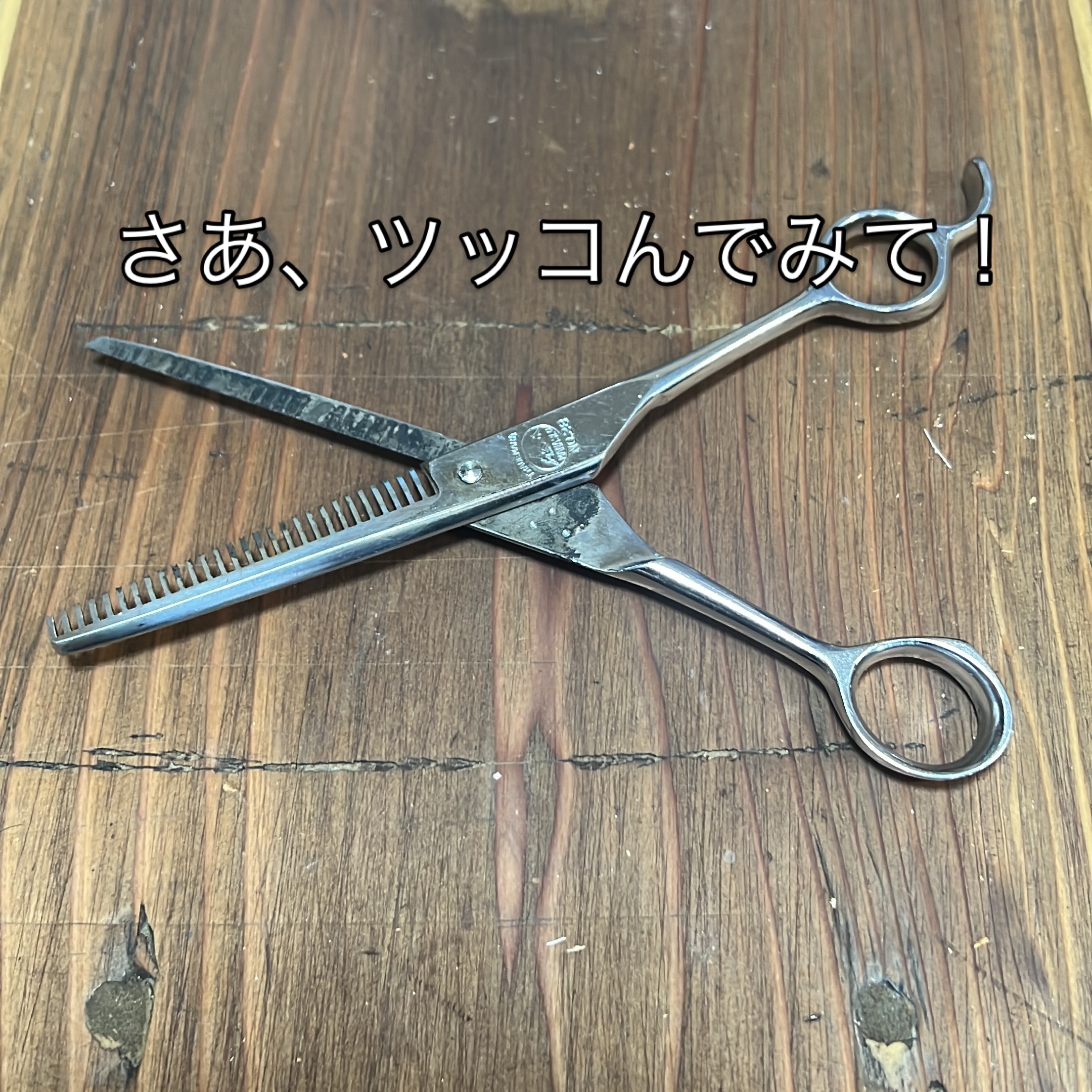 神田文一さんのはさみを研がせていただきました。 大半がセニングで