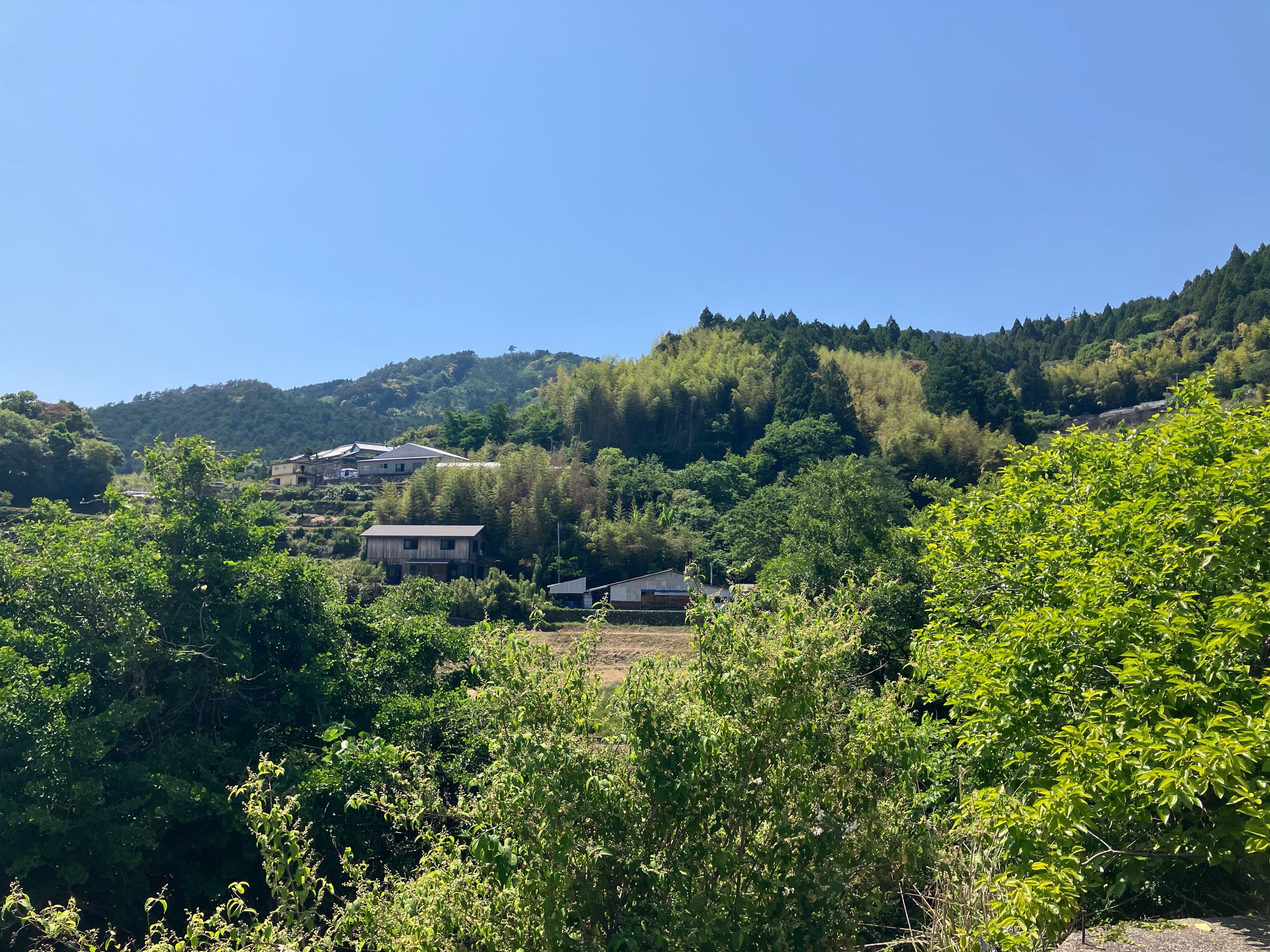 明日7月24日(金)から、小野哲平さんの作品展がはじまります。写真は、5