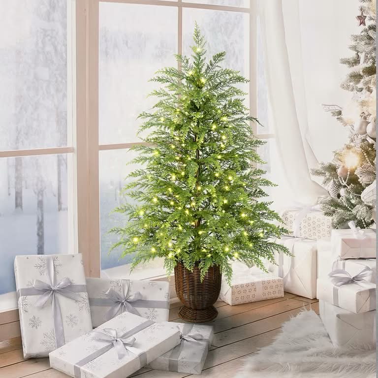 Just dropped! $64 My Texas House 4' Pre-Lit Cypress Green