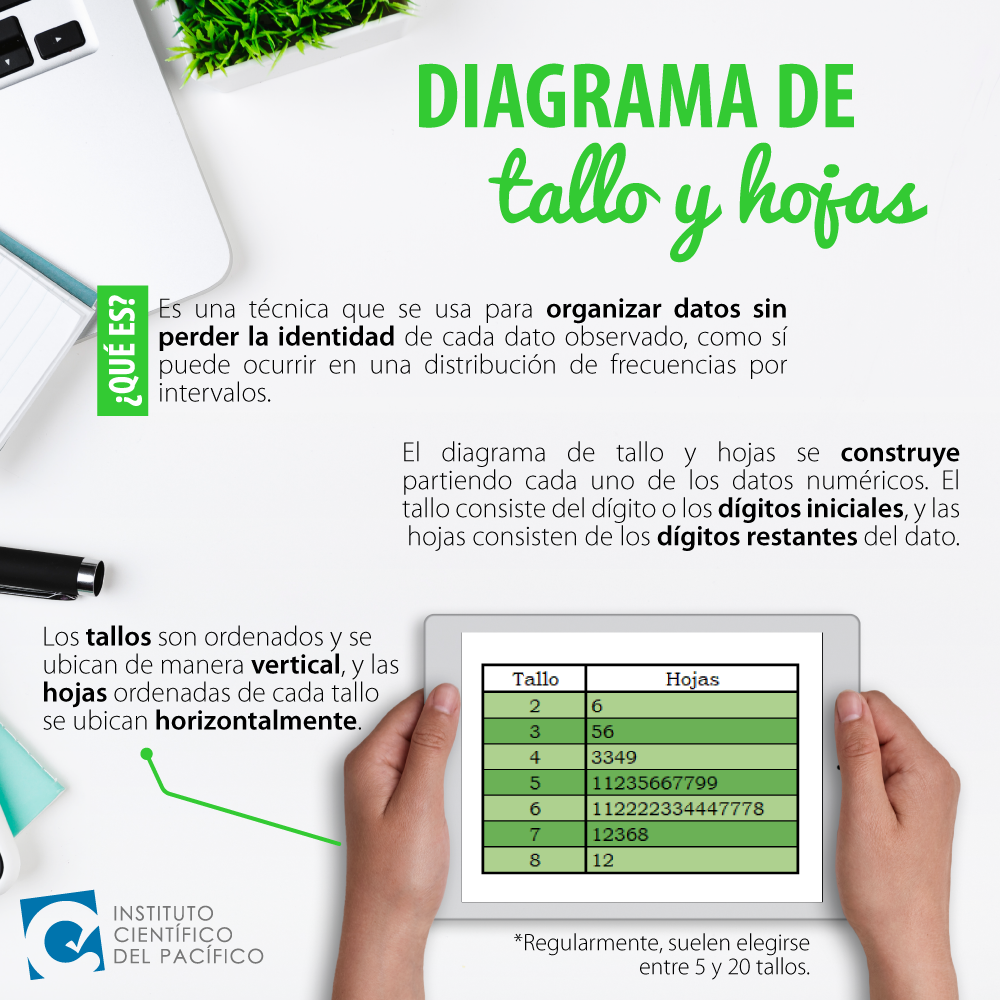 Diagrama De Tallo Etiquetado 612x419