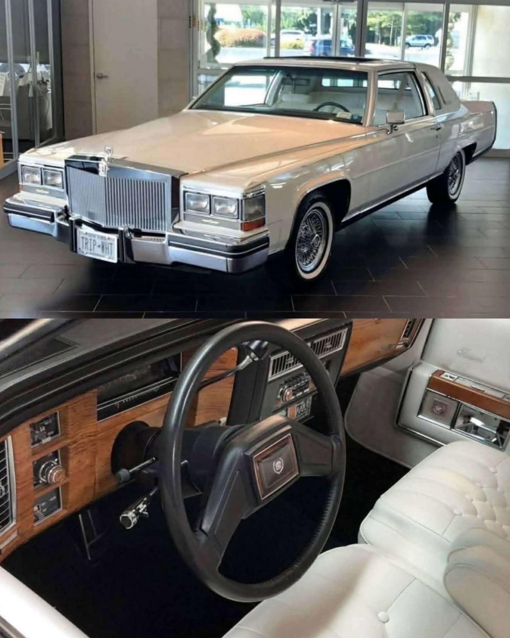 1981 Cadillac FLEETWOOD coupe DELEGANCE TRIP-IHT TRIP-IHT ۱۱۱/۱۱