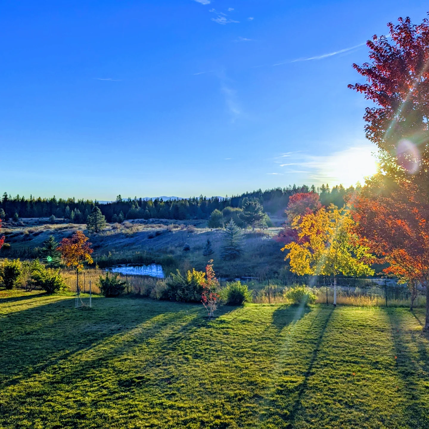 Arosa Ranch
