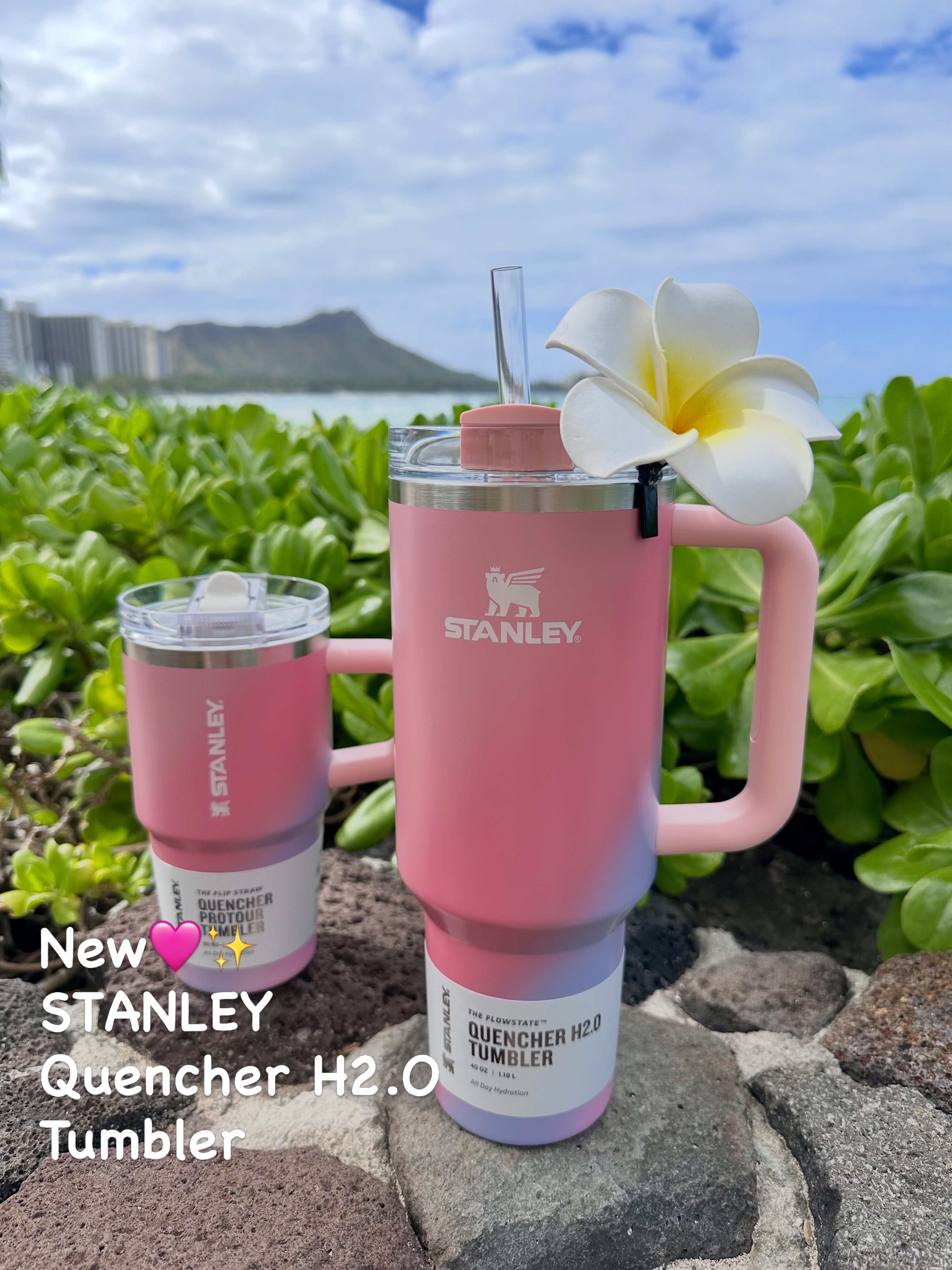 New 🥳Hydro Flask Limited Edition Polar Ombre Collection Aurora