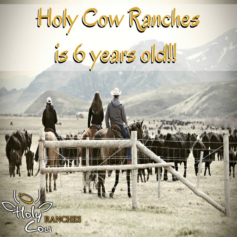 Happy Birthday... - Jeff Lucas Professional Rodeo Announcer