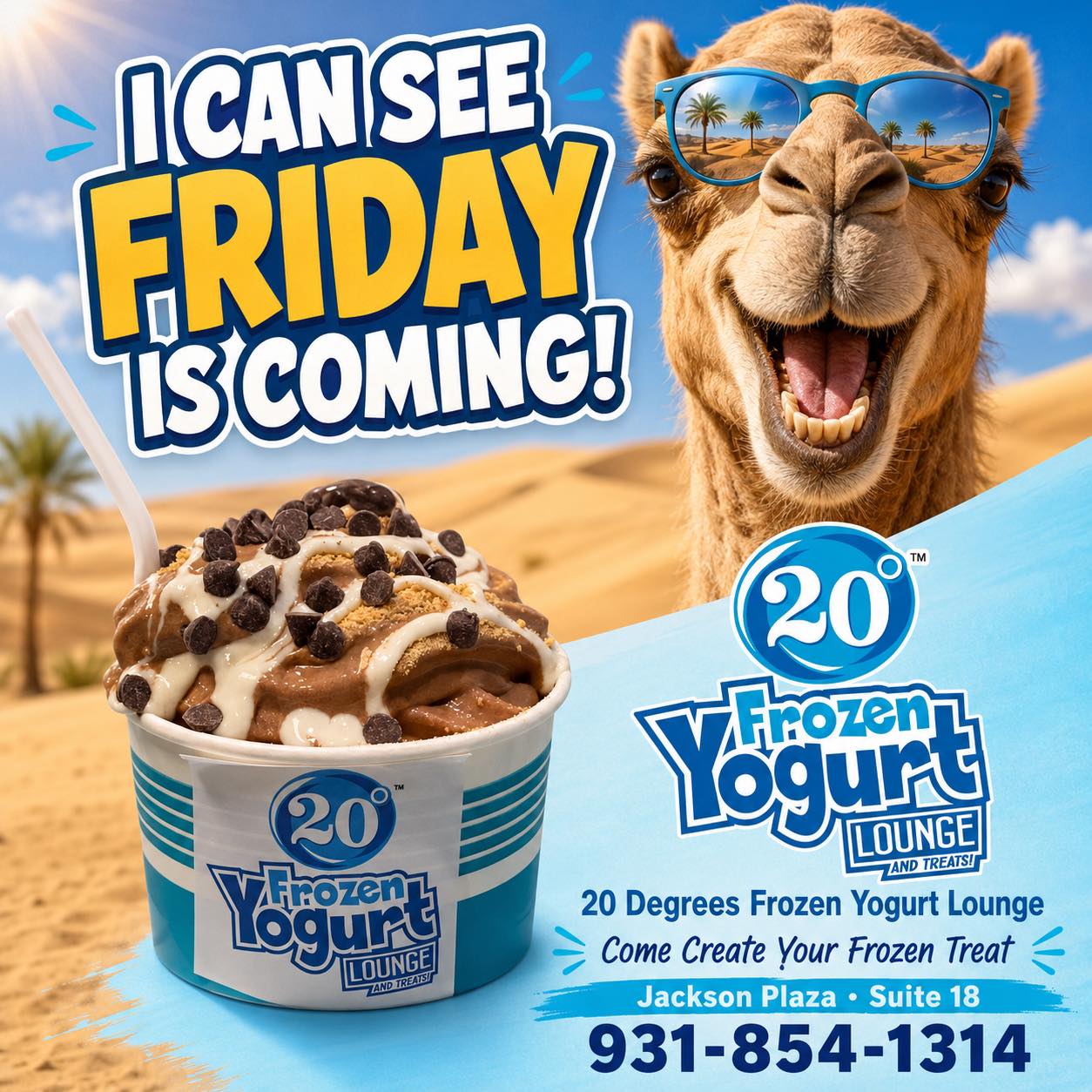 ロゴス　スノーシュー　　LOGOS ぜんまいくじら 20 Degrees Frozen Yogurt Lounge | Cookeville TN