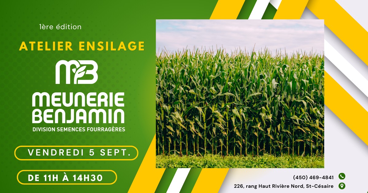 Atelier ensilage de maïs