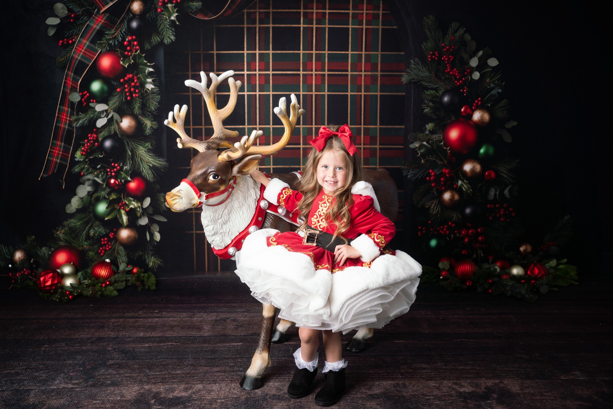 Christmas mini photo session with size 4 5 dress