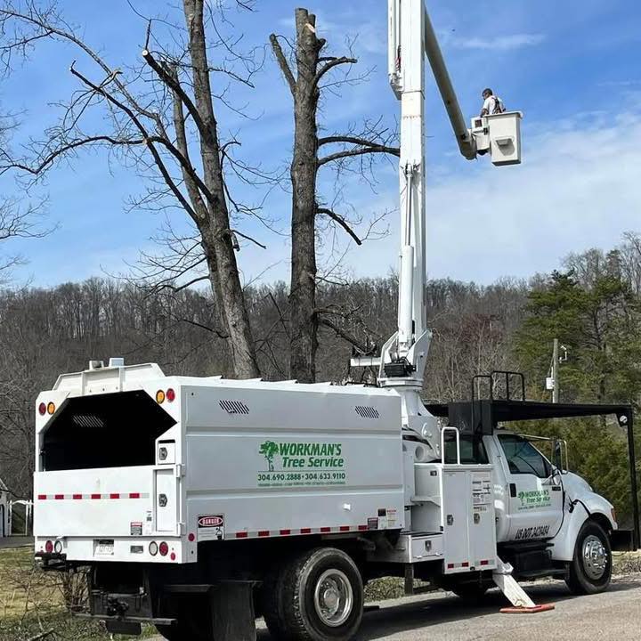 Workman's Tree Service | Ona WV