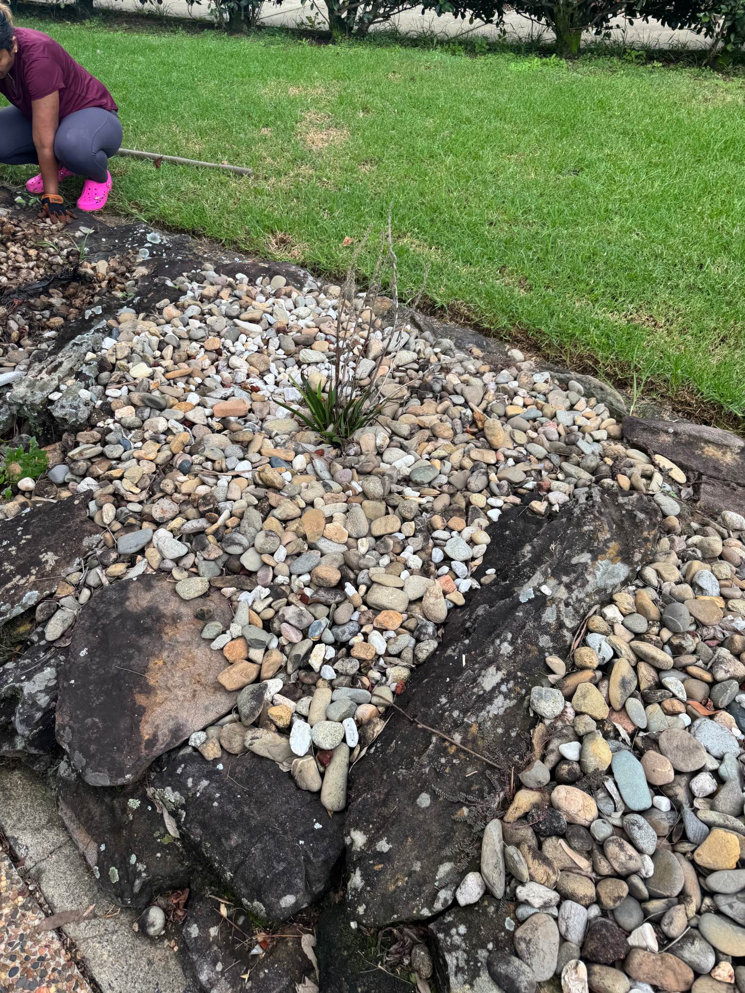 Free garden rocks (not the volcanic just the small rocks) - Landscaping ...