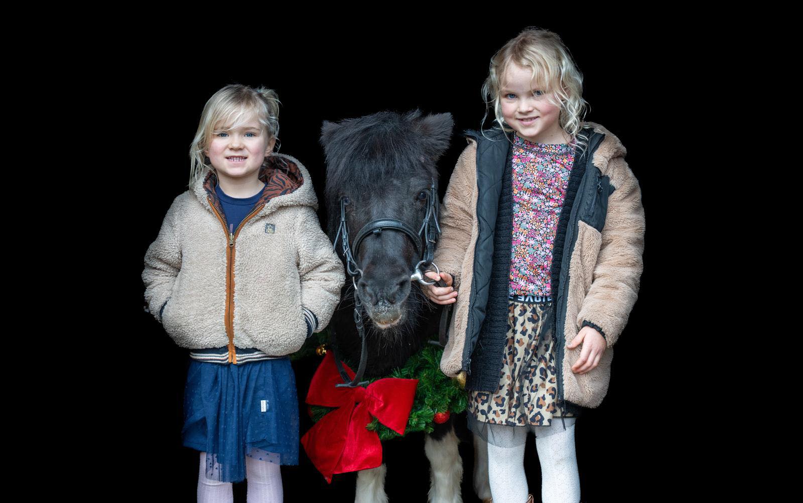 Auke de Jong Stables added a new photo. - Auke de Jong Stables