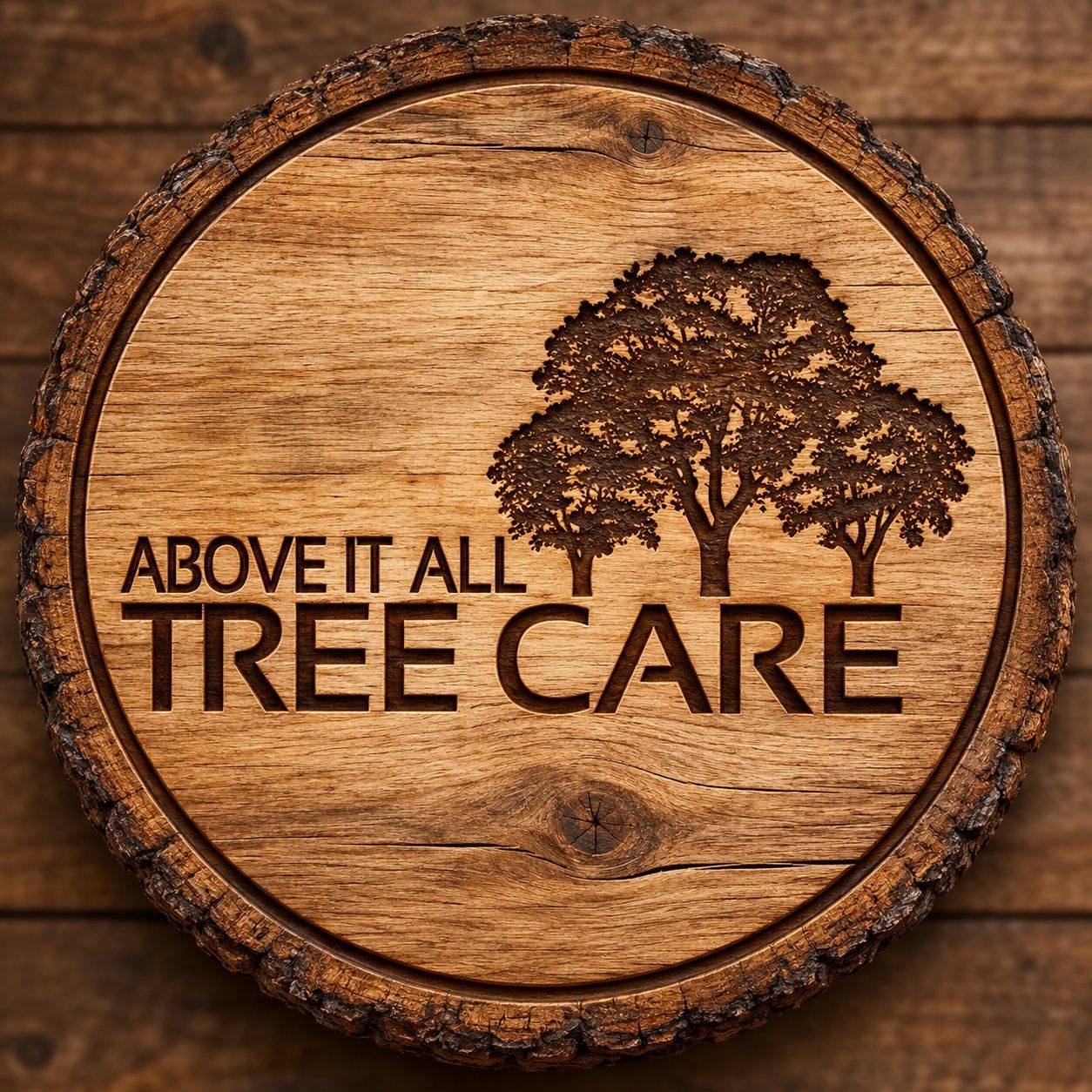 Dead limbs don't always fall right away — but when they do, it's ...