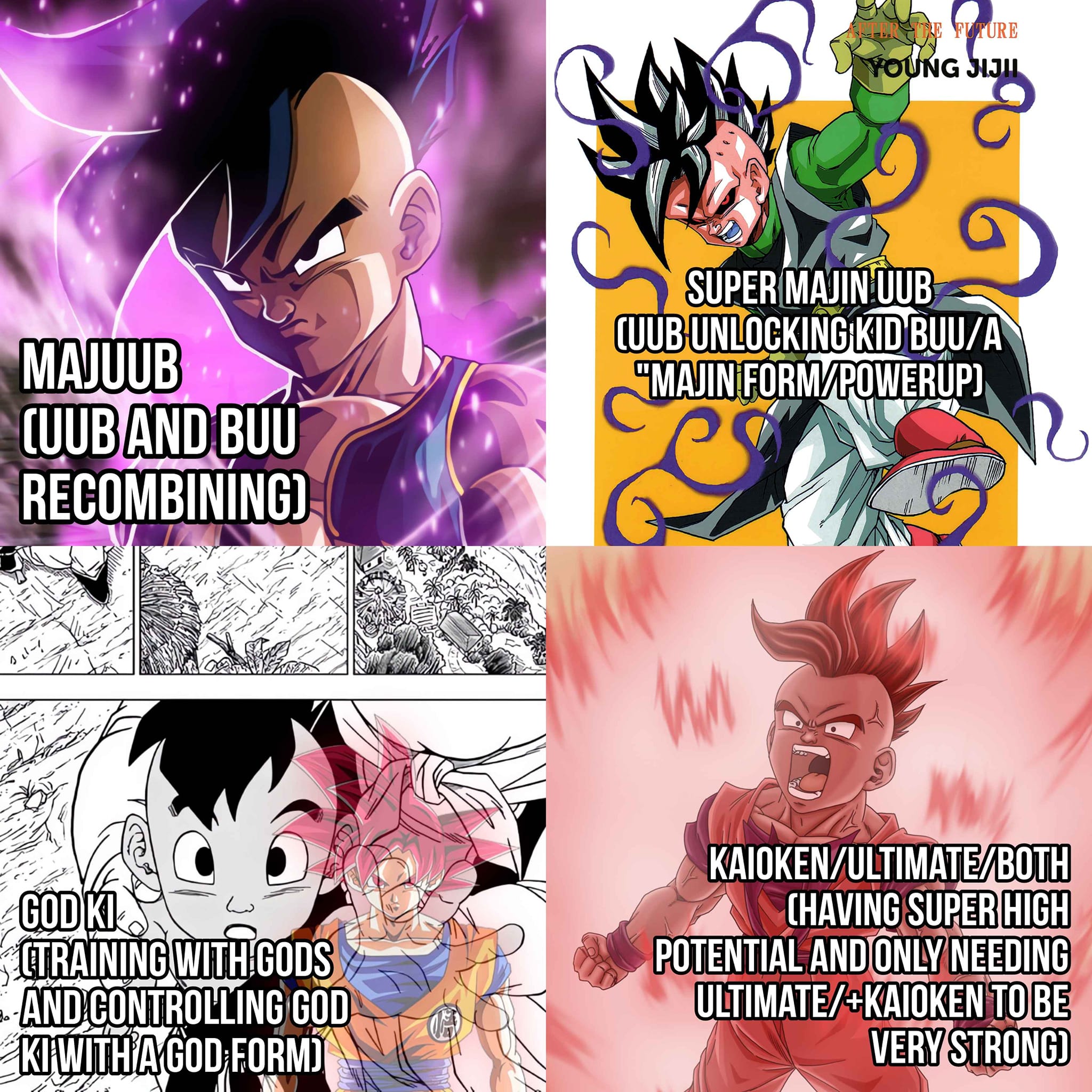 What path to power should Uub take to become a Z fighter?