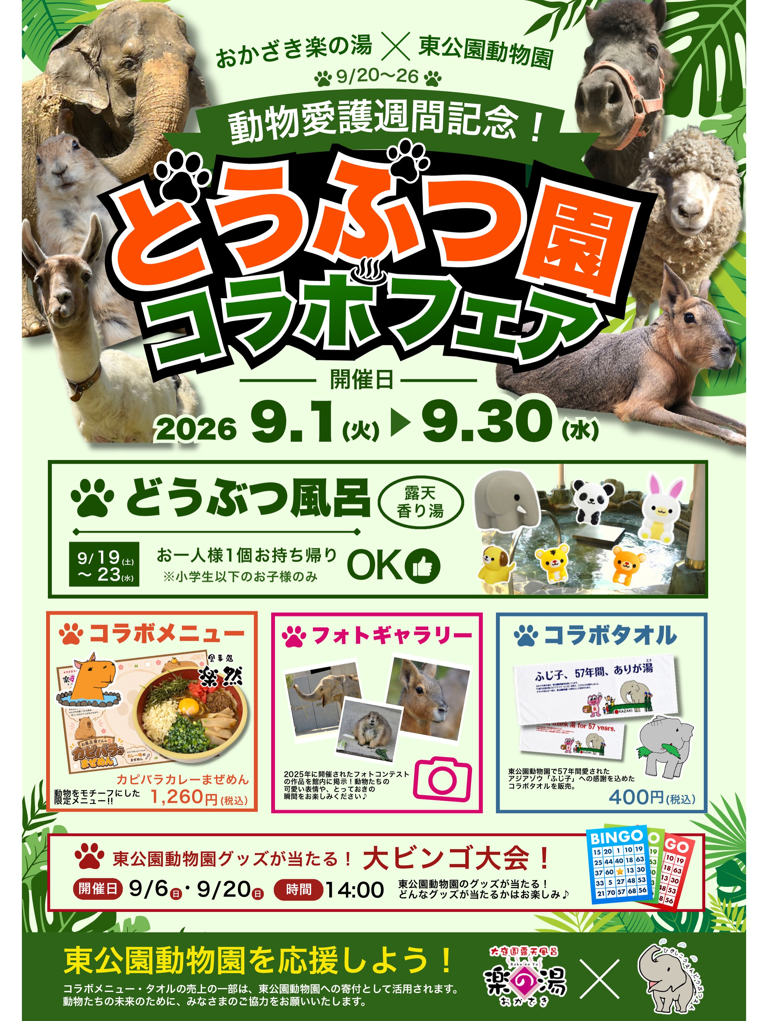 活動歴および当時の関連ビジュアル記録