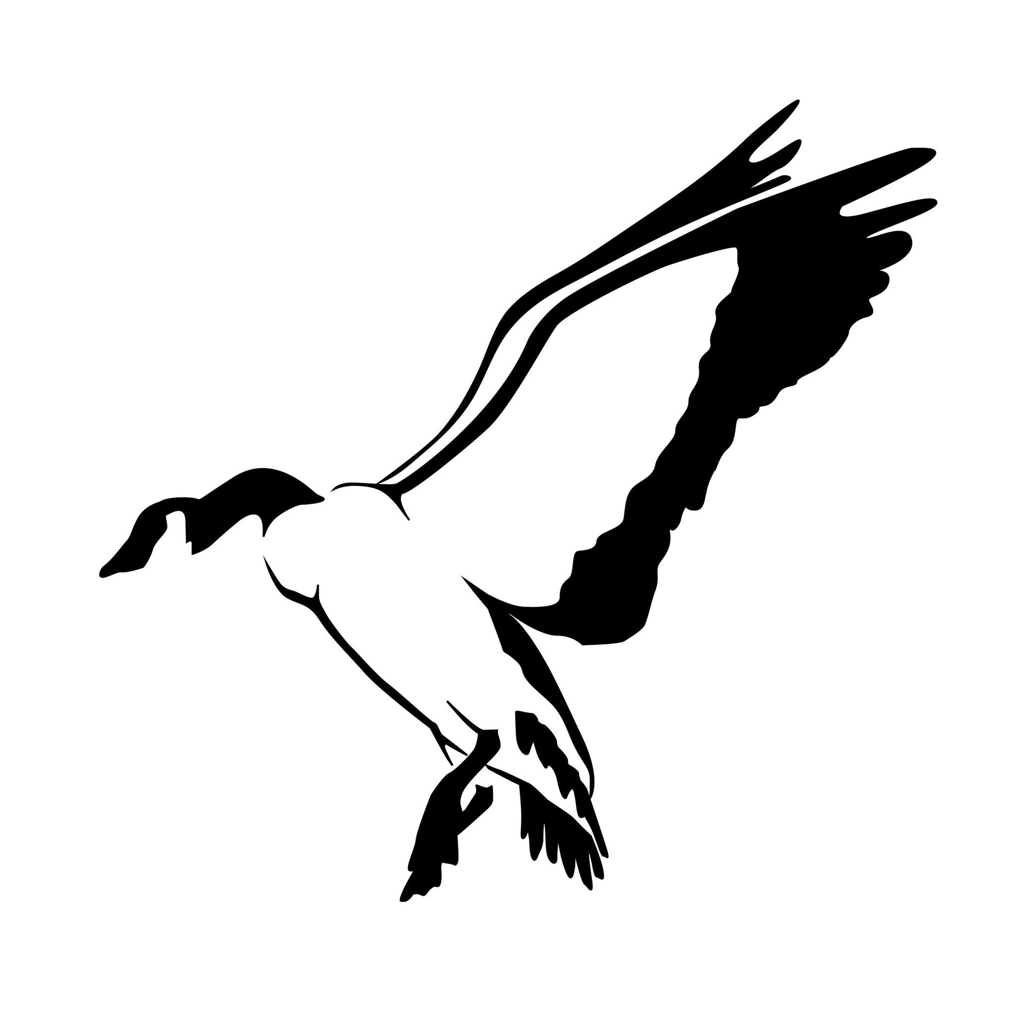 SPLIT REED - Opening day of duck season is nearly here,... | Facebook