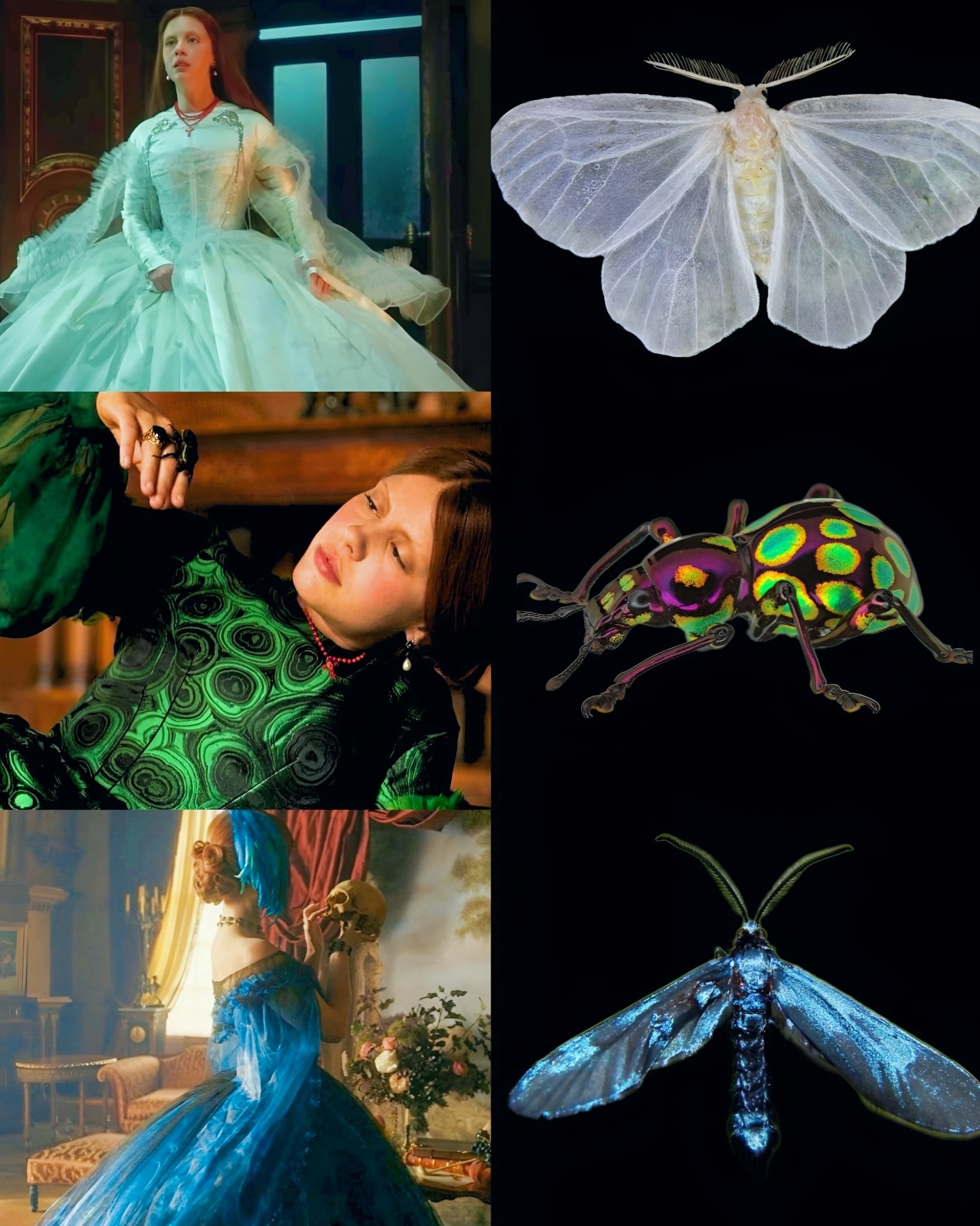 Cinemagic - 🖼️ Elizabeth's dresses being inspired by flying insects in ...