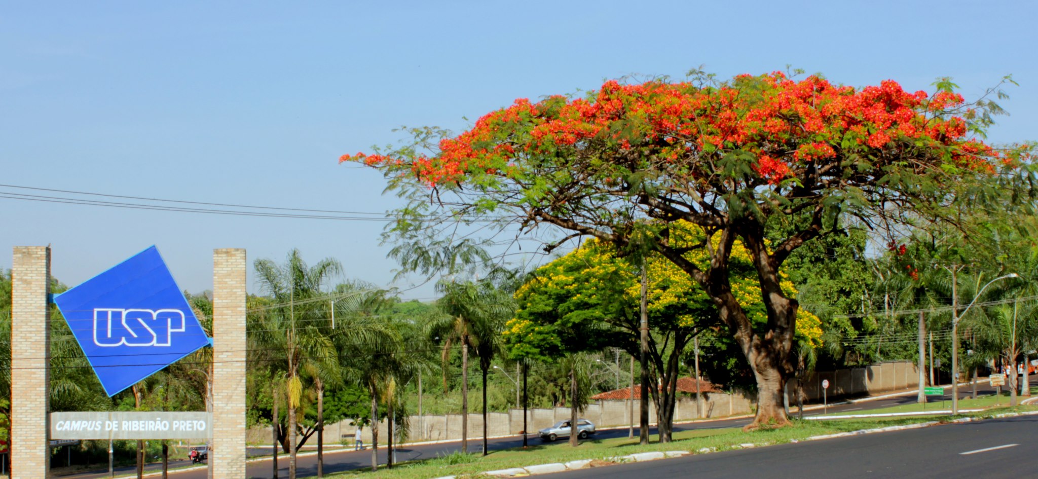 TV USP Ribeirão Preto