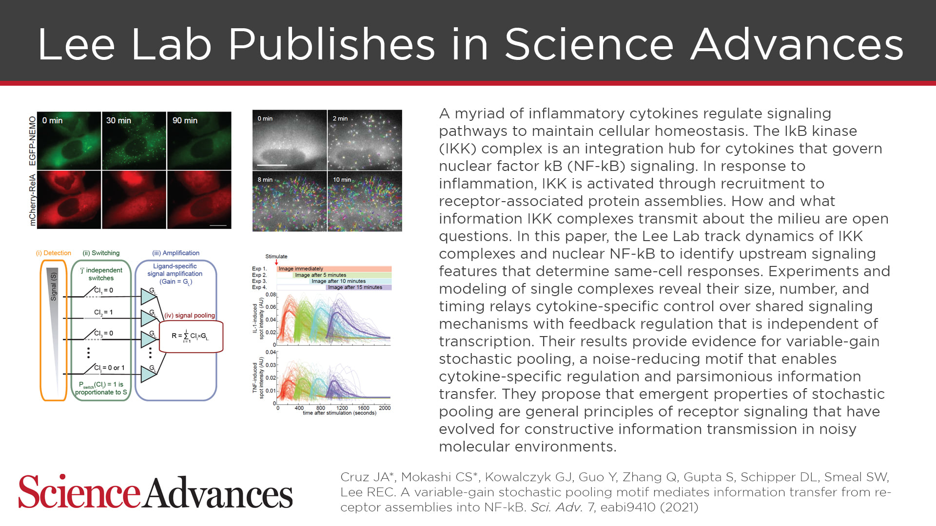 Lee Lab publishes in Science Advance... - University of Pittsburgh ...