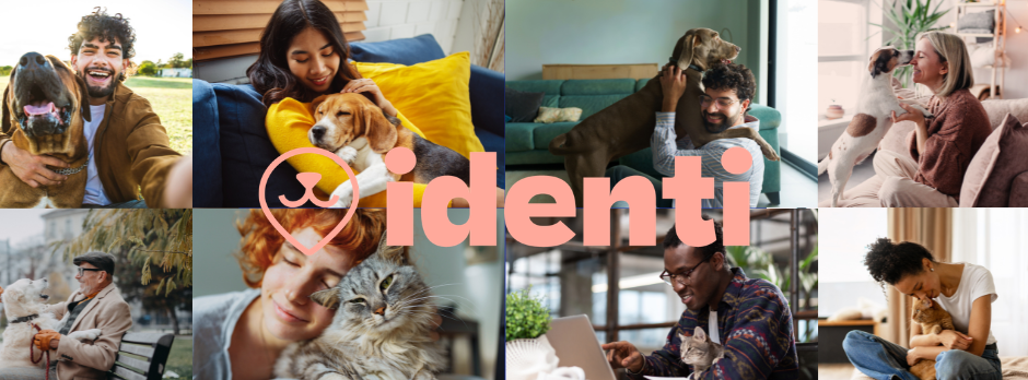 Identi missing pets | York