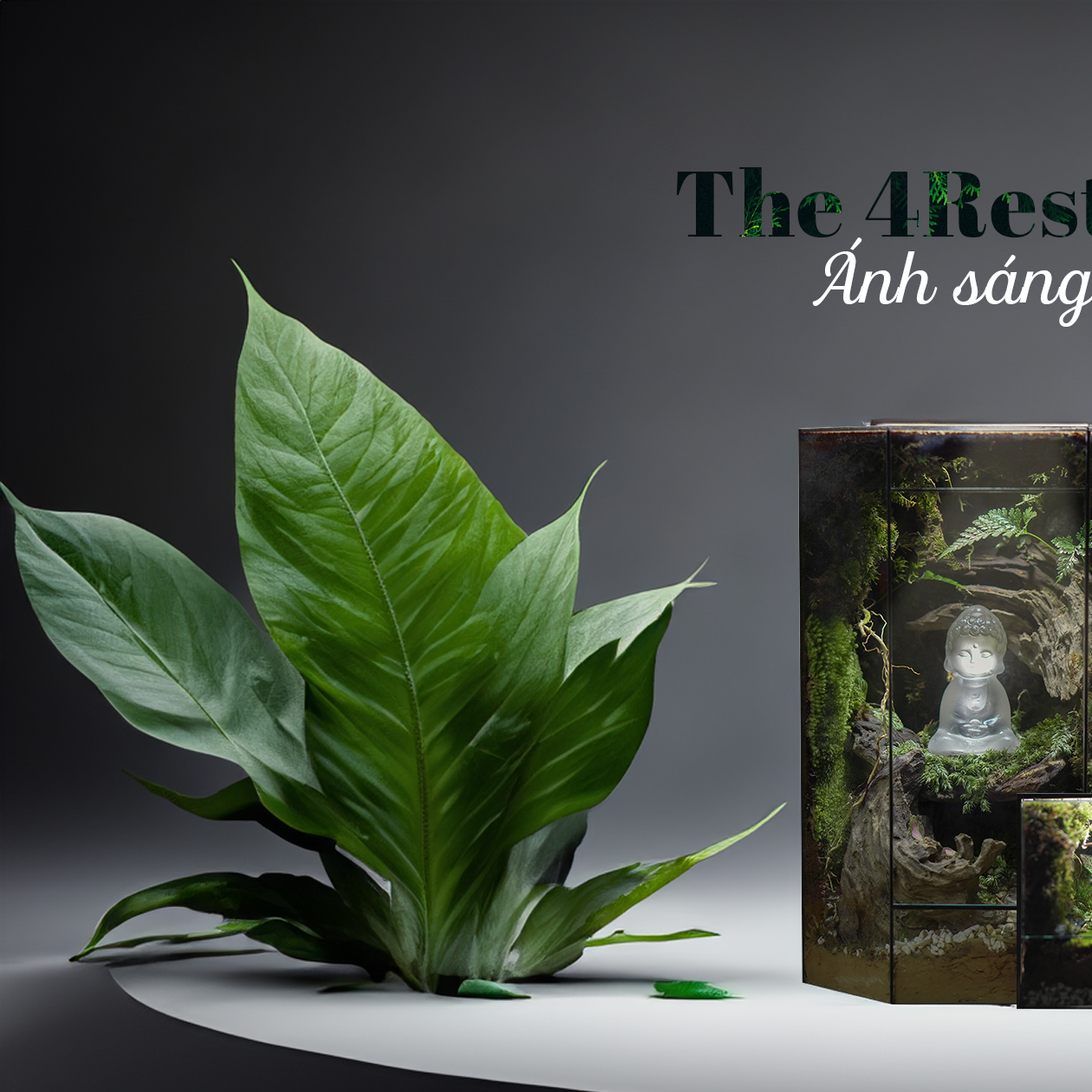 The 4Rest Rium - 💥TERRARIUM - MANG CẢ THIÊN NHIÊN VÀO...