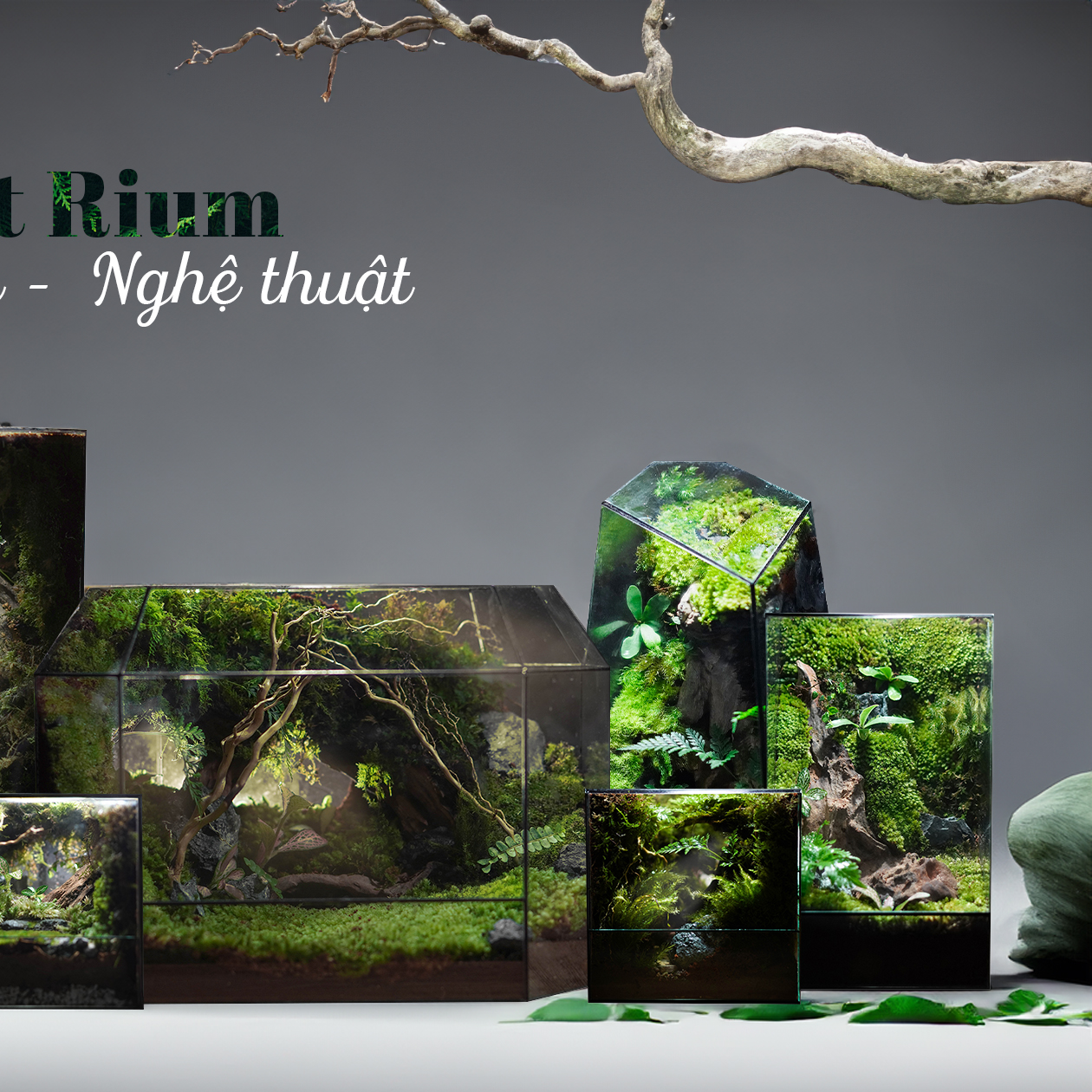 The 4Rest Rium - 💥TERRARIUM - MANG CẢ THIÊN NHIÊN VÀO...
