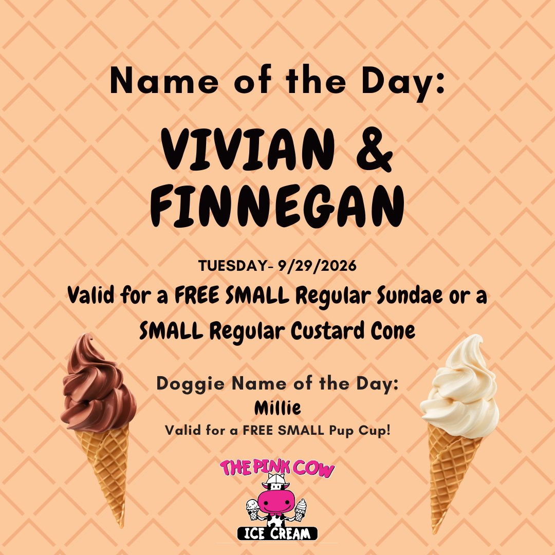 The Pink Cow Ice Cream Shop and Momma Cow's Treat Emporium | Alden NY