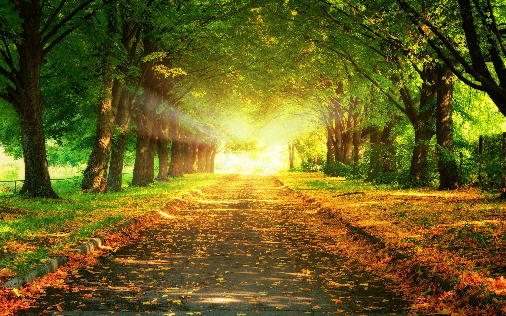 LES BONS VIVANTS DE ST CHAMAS | Facebook
