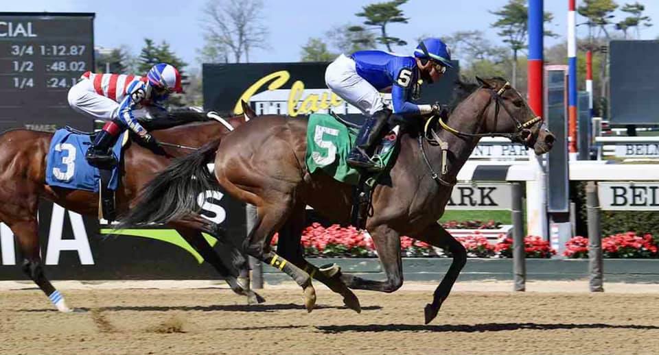Wayne A. Potts Racing Stable | Elmont NY