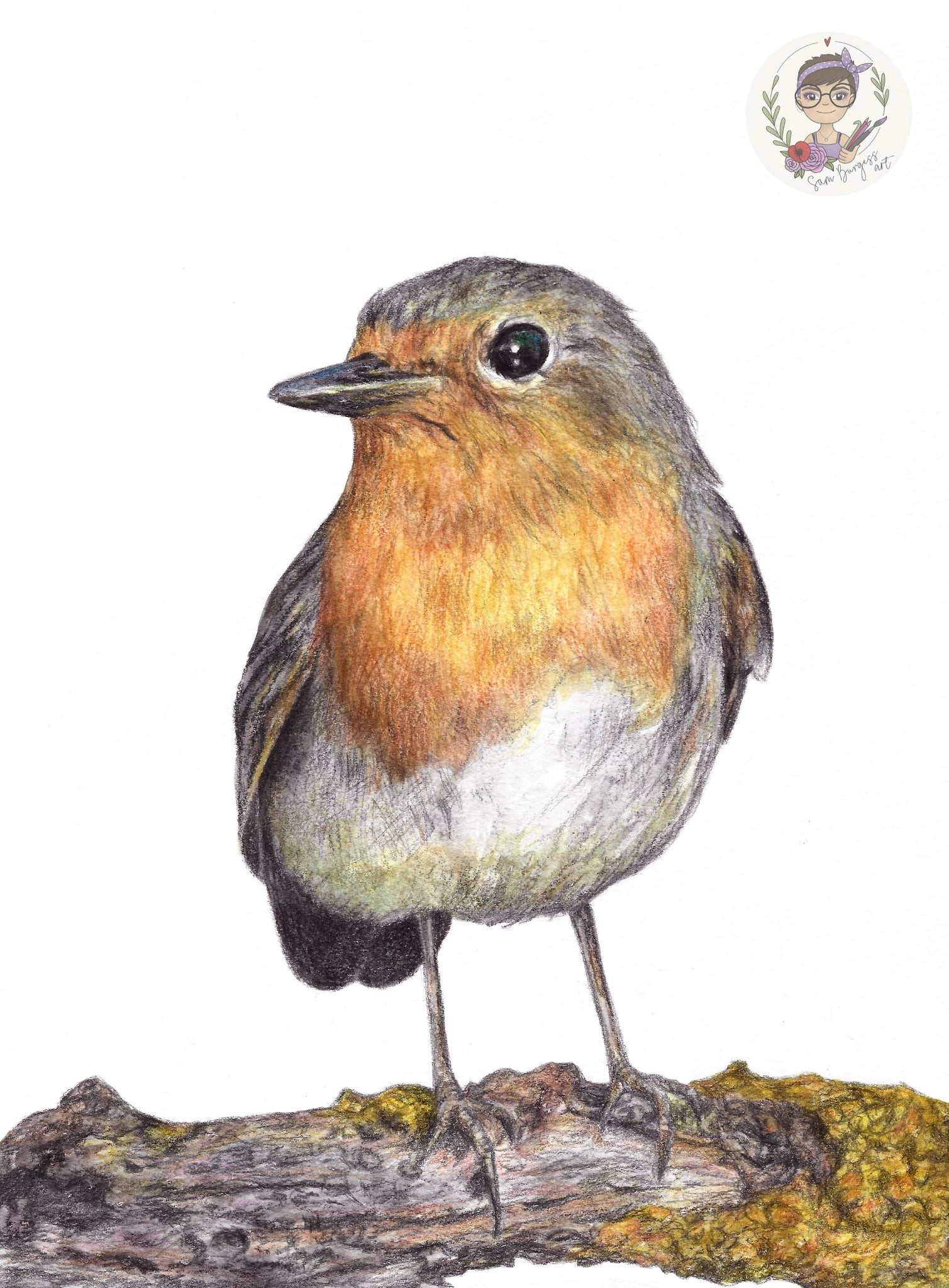 Sam - He's finished :) Robin (December 2025) A4, with Derwent Inktense ...