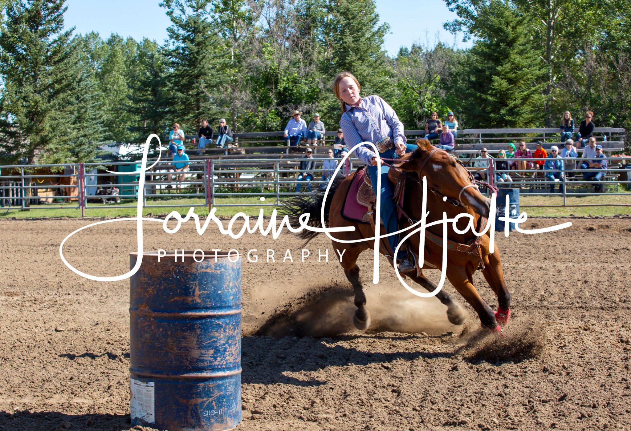 Check out these great photos from... - Nanton Junior Rodeos | Facebook