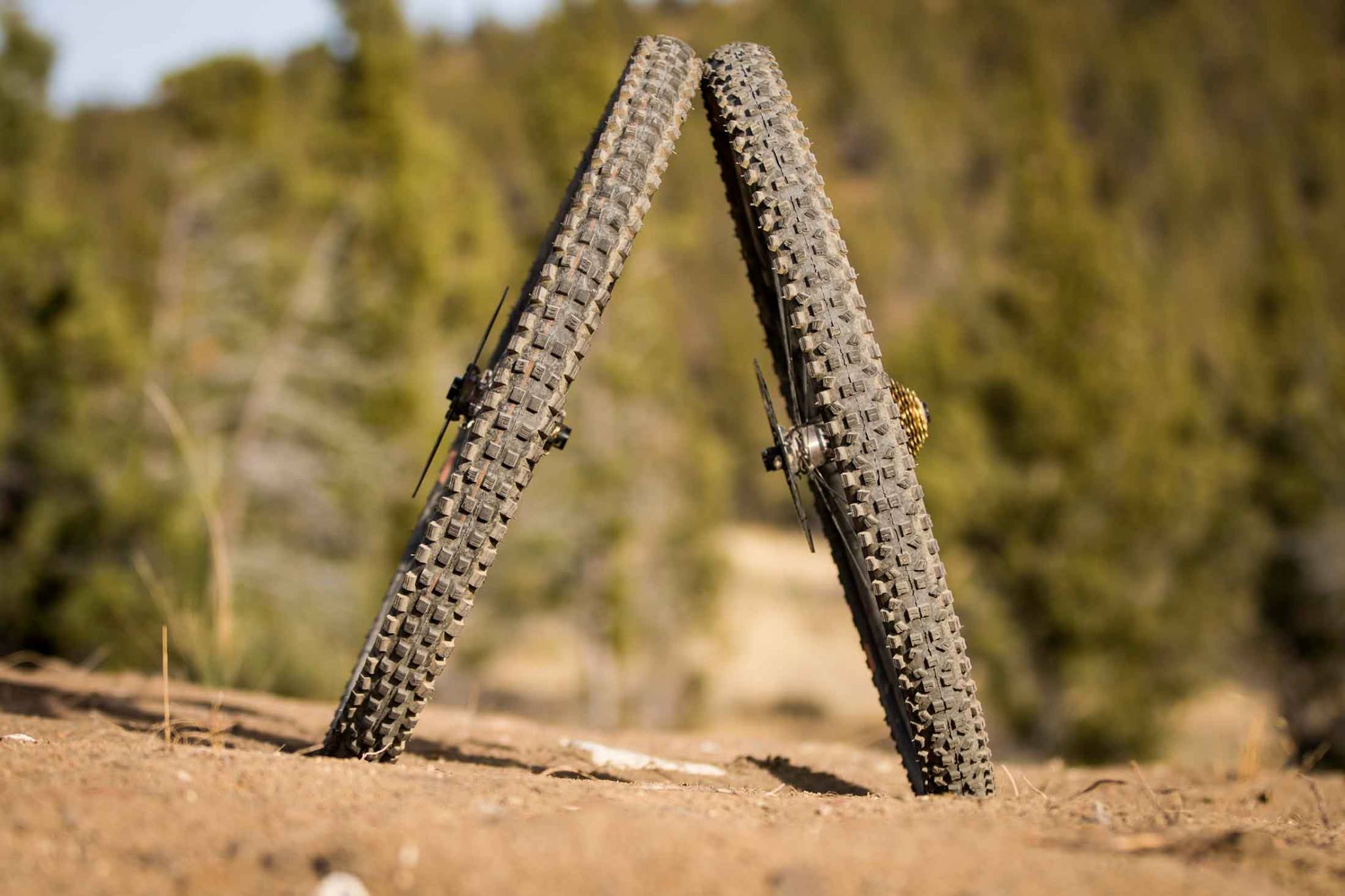 The The Loam Wolf put the new ADDIX... - Schwalbe Philippines | Facebook