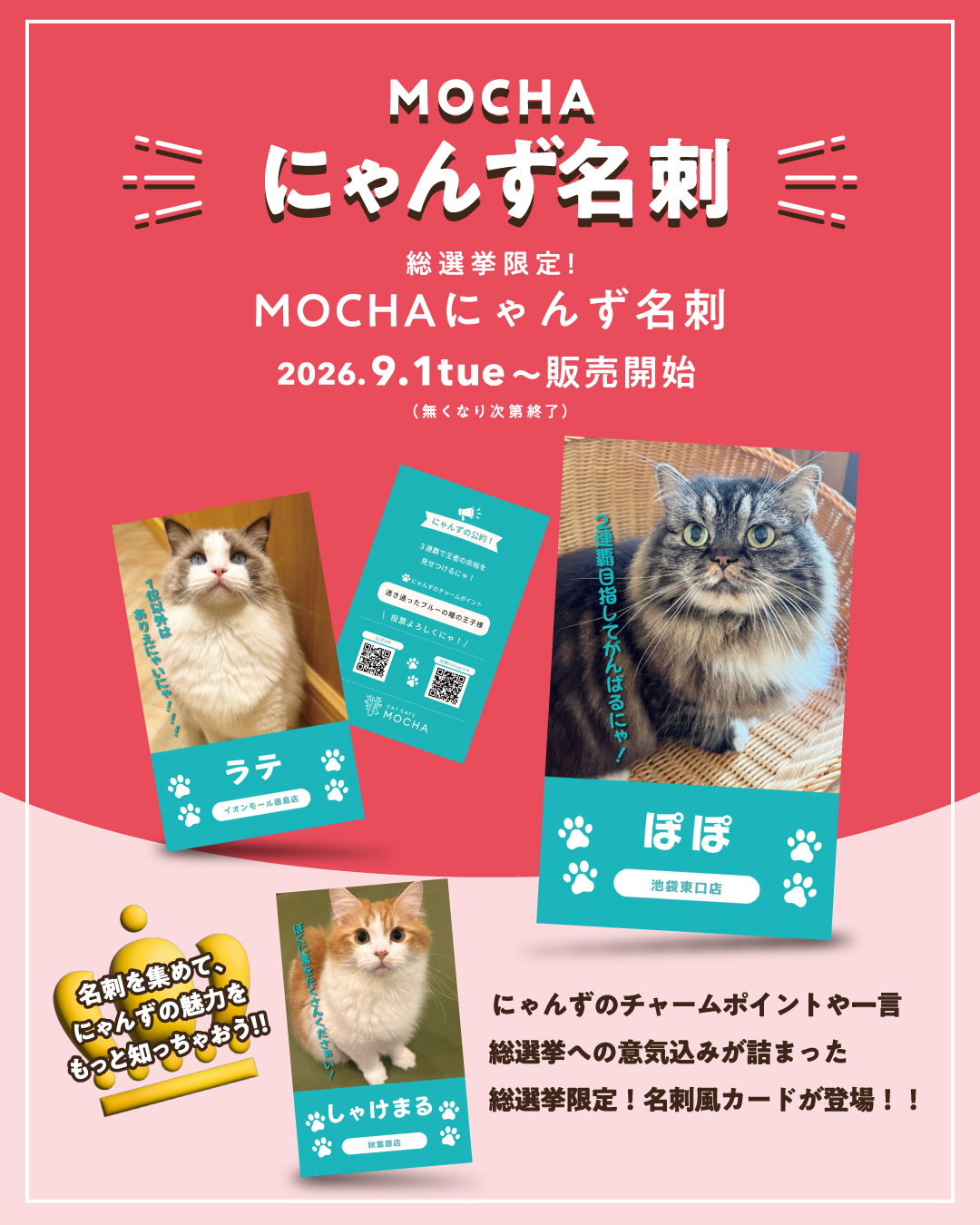 CAT CAFE MOCHA (@catcafemocha) • Facebook