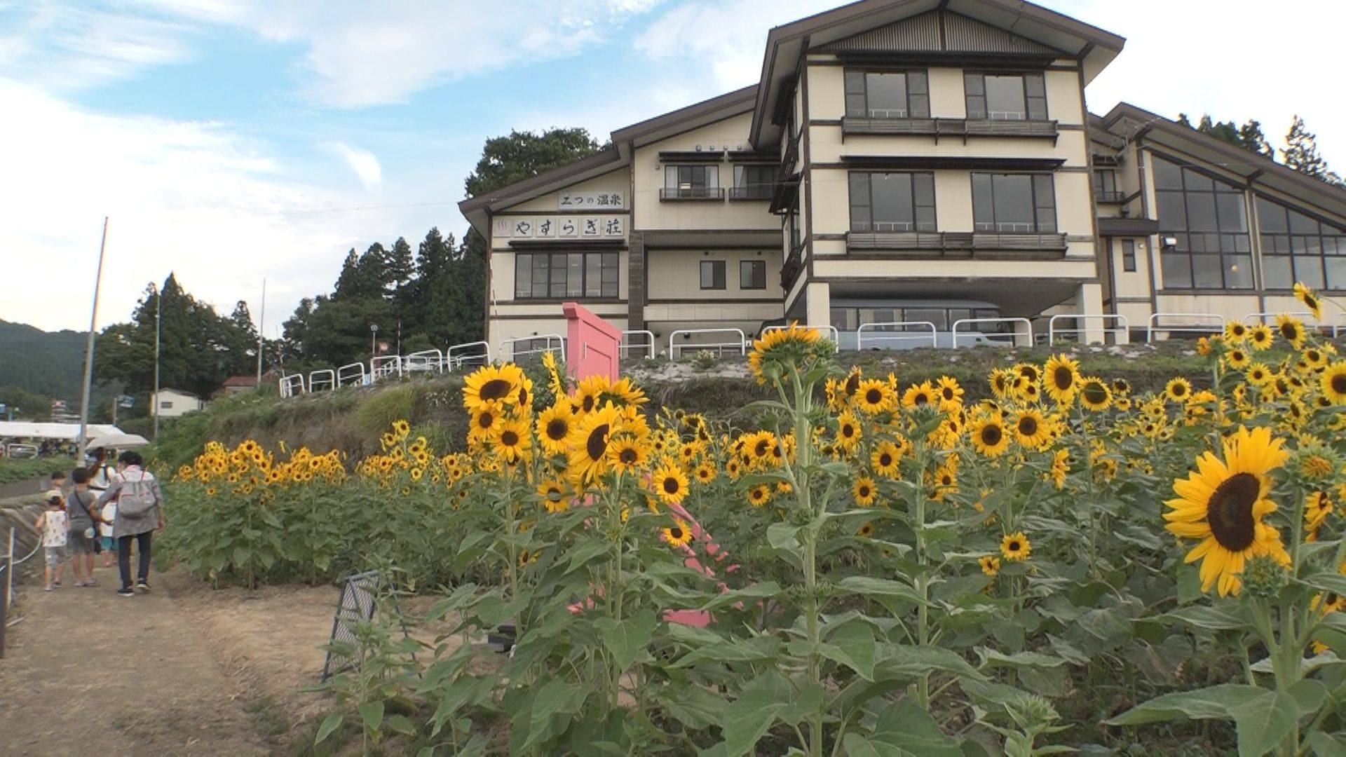 活動歴および当時の関連ビジュアル記録