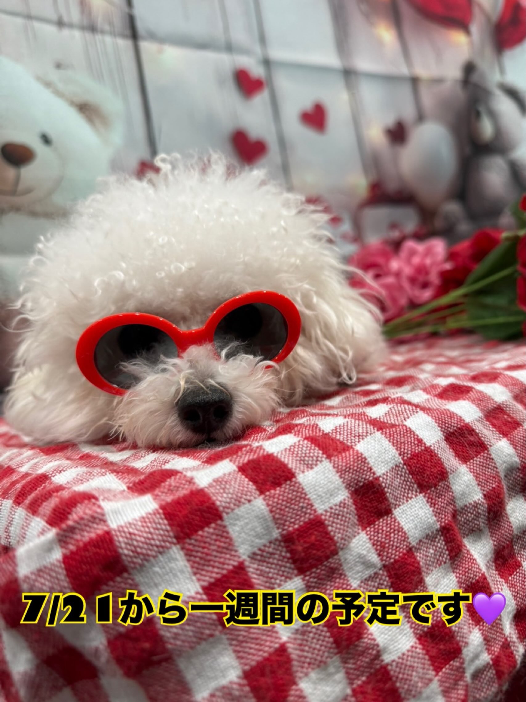 ☺︎ 様　２枚セット　【てんとう虫とわんこ】【わんことトリさんのパーティー】 ペットサロンベア - おはようございます♪ 本日のわんこ食堂ベアは週末